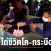 สมาคมประชาคมคนตาบอดไทย-ไถ่ชีวิตโค-กระบือ-–-chiang-mai-news
